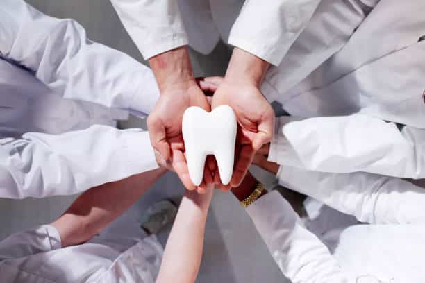 Un modello di dente tenuto da più mani in un team odontoiatrico.